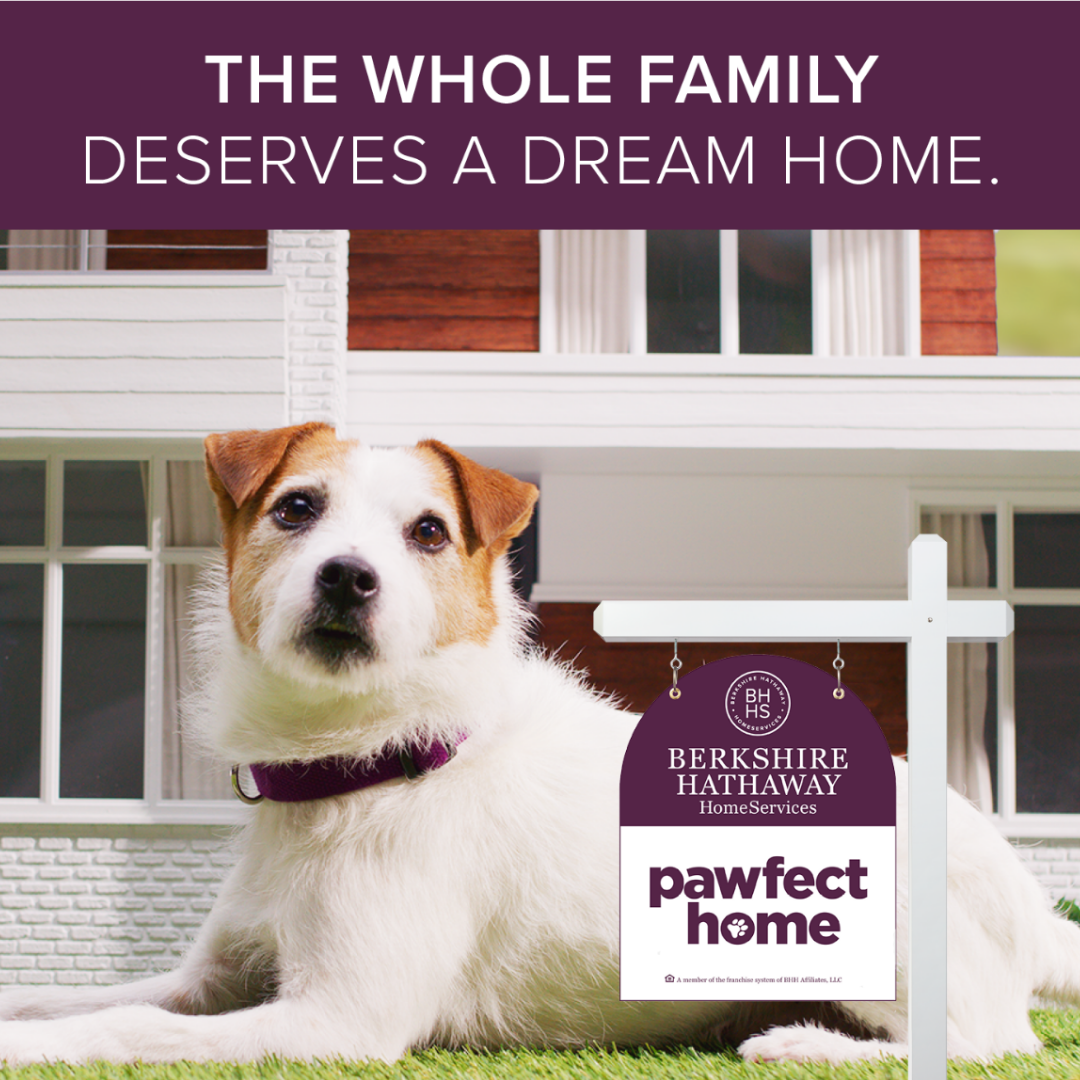 Pawfect House Contest